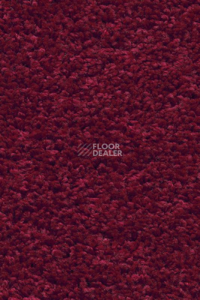 Ковролин AW Devotion 10 фото 1 | FLOORDEALER